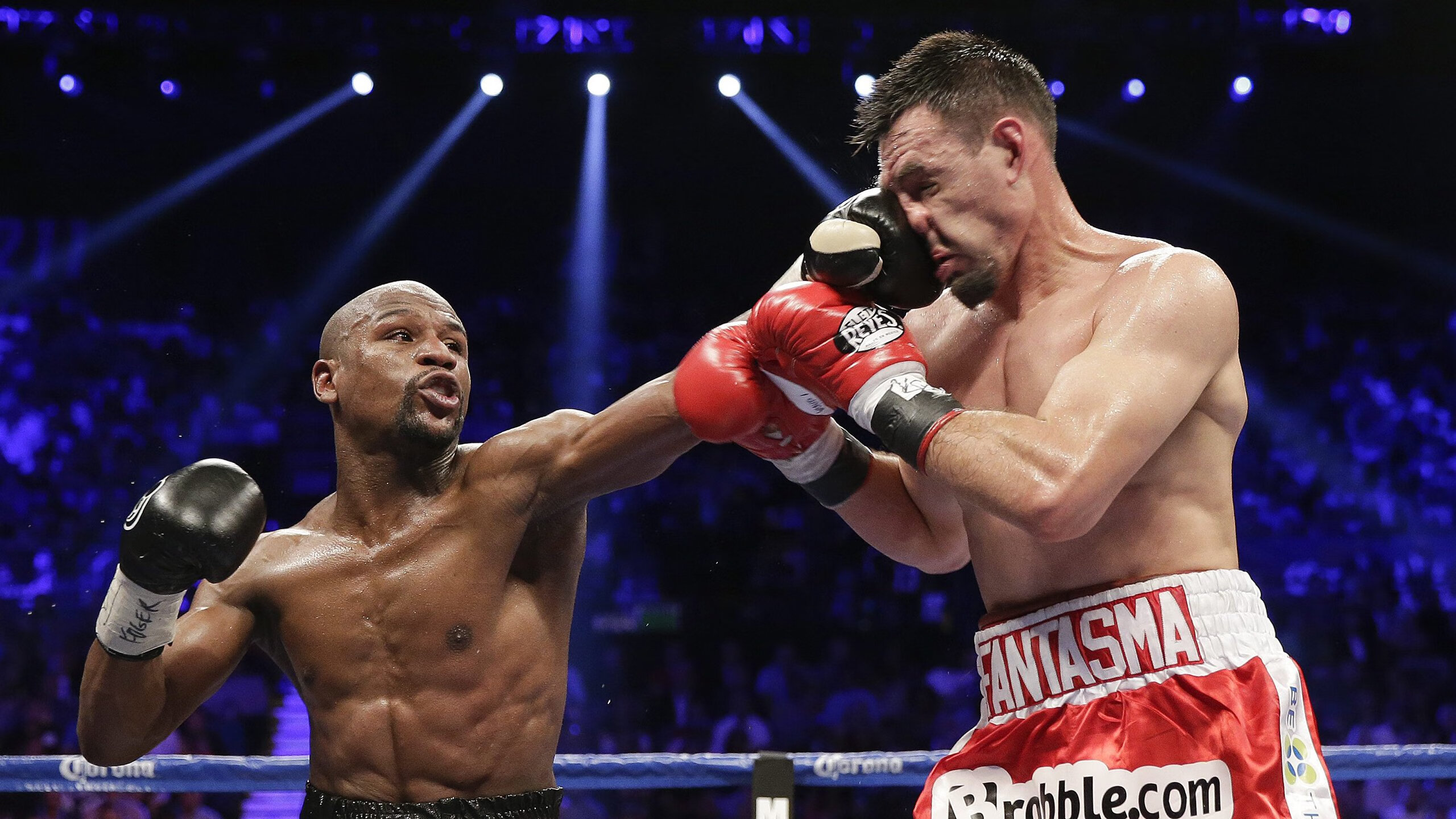 当紫金军团遭遇南粤铁骑,塔图姆跨时空带队启示录